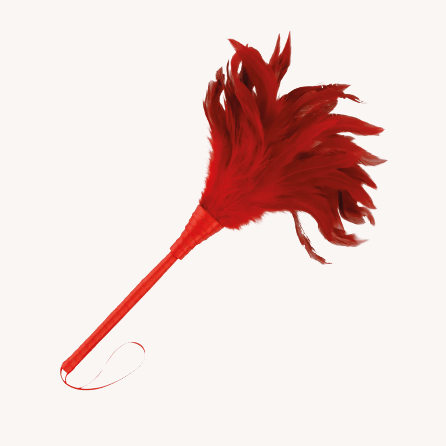 Plumes & Plumeaux Intimae