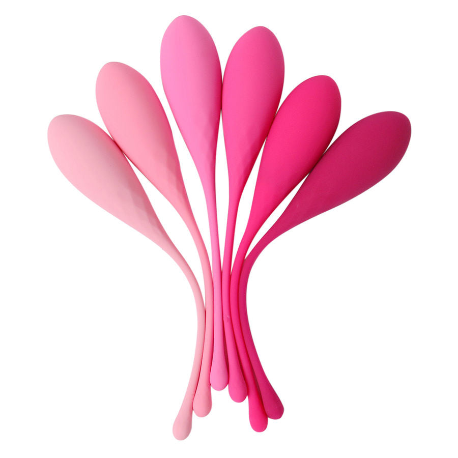 Boules de Geisha Kegel Fit Set Progressif 6 Poids Étanche IPX7 - Leslie