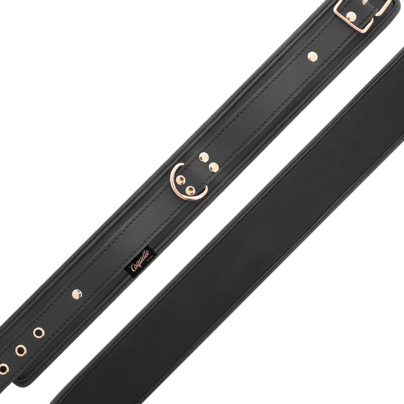 Collier BDSM Cuir Végan avec Laisse et Doublure Néoprène - Coquette