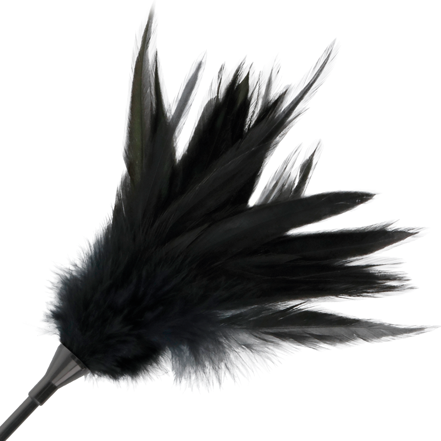 Fouet à Plumes Réversible Cravache Double Face 48 cm - Darkness