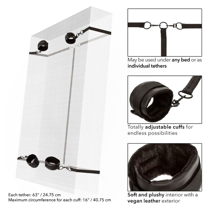 CALEXOTICS - UNBEGRENZTE ROTHALTUNG