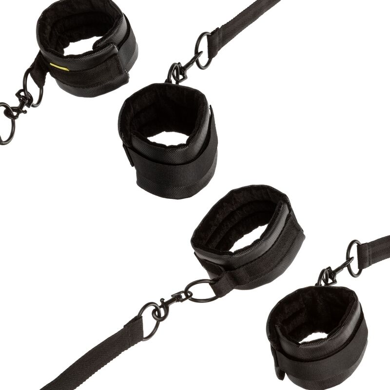 CALEXOTICS - UNBEGRENZTE ROTHALTUNG