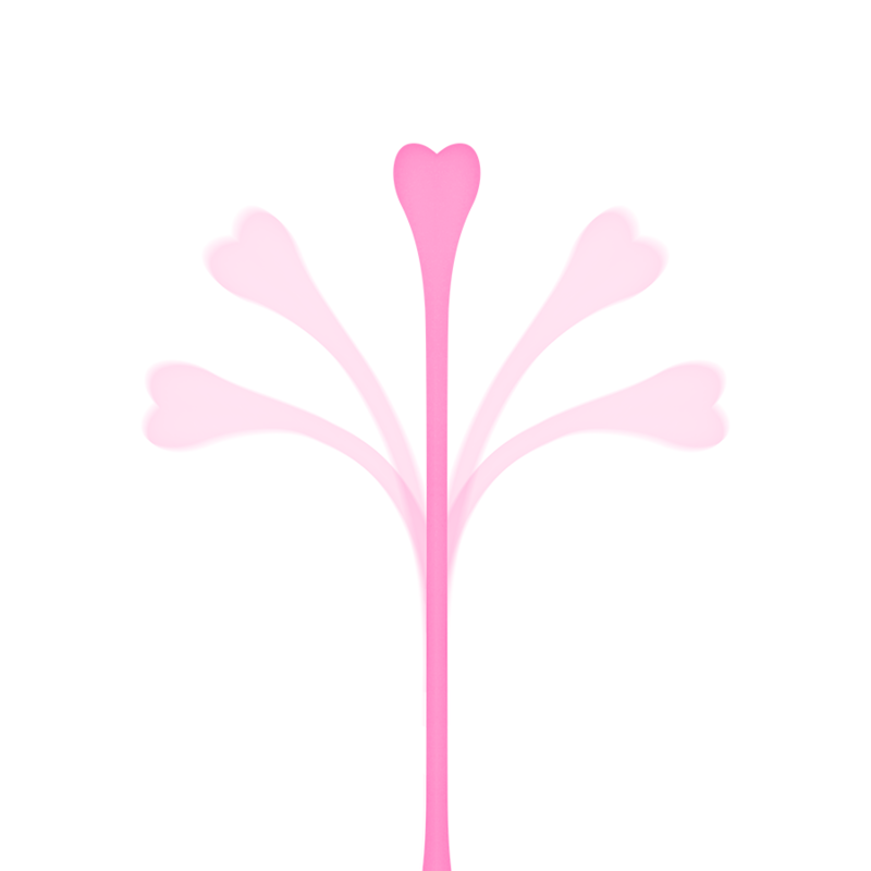 5er-Set Kegel-Übungsbälle