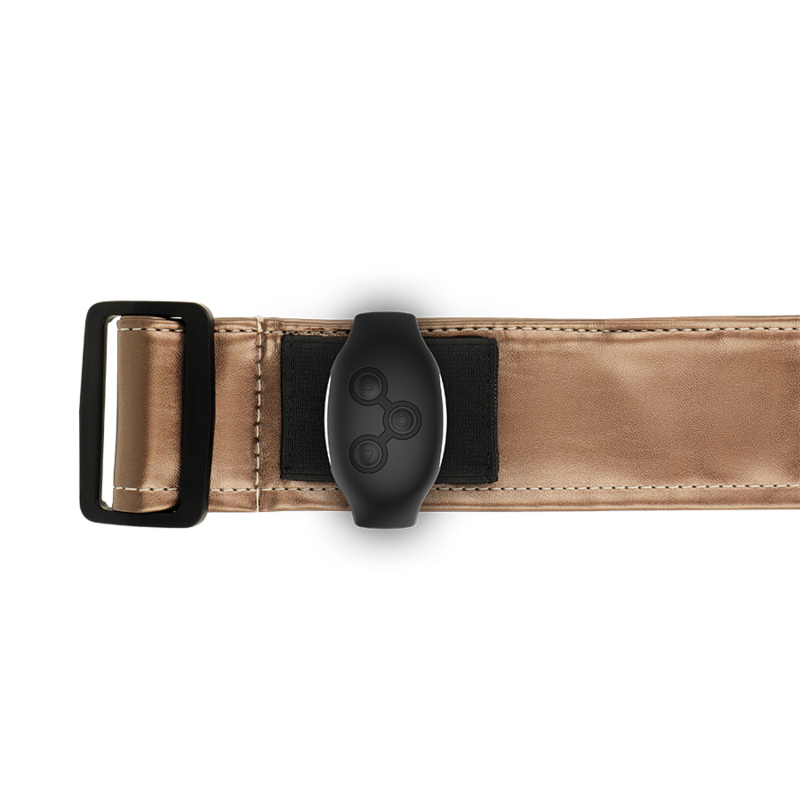 Fancy Geschirr Bronze Geschirr L/XL