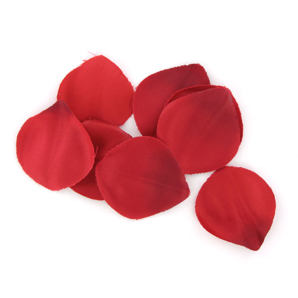 SENSUAL ECSTASY - RED TEMPTATION BRUST