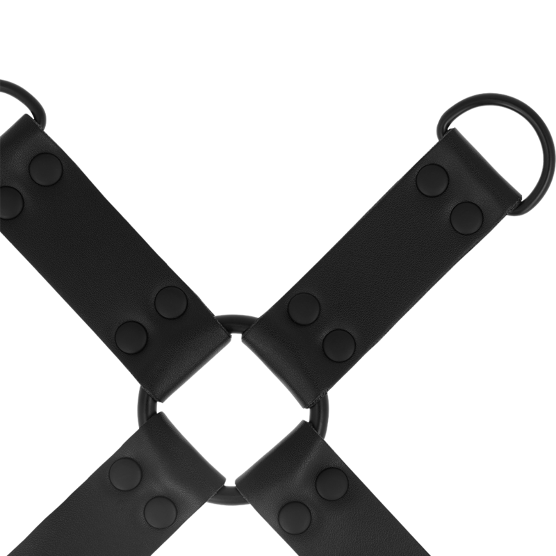 INTENSIV - FESSELN MIT SCHWEINEFÄHREN