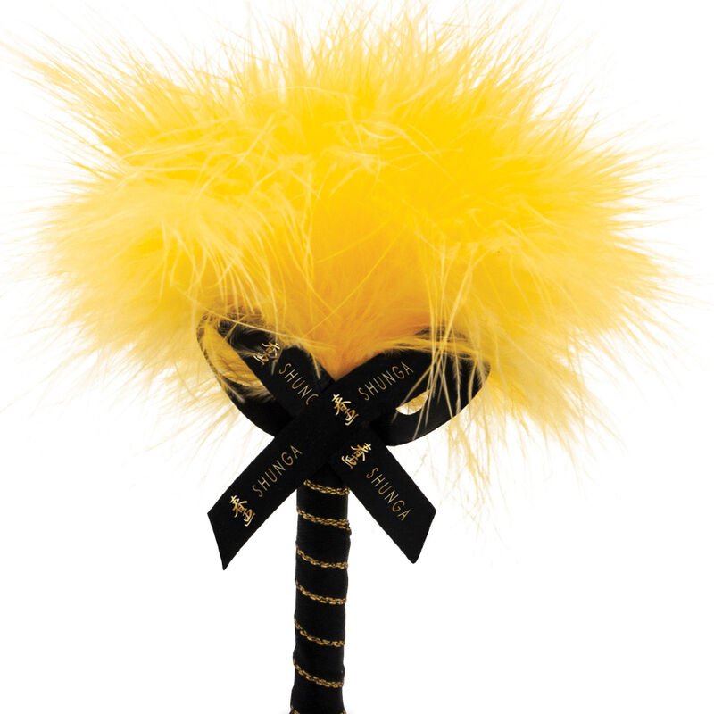 SHUNGA - ESSBARES MANGO-MASSAGEPULVER-SET