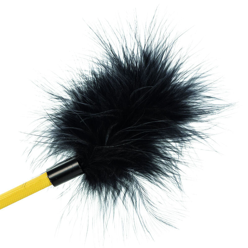 CALEXOTICS - BOUNDLOSE FEDERERNTE