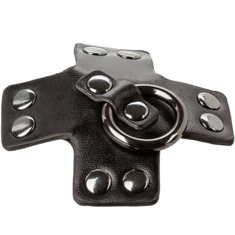 CALEXOTICS - EUPHORIA SCHWARZER O-RING