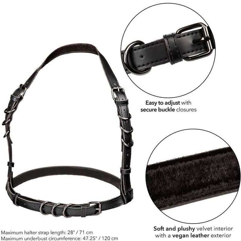 Euphoria Plus Size Neckholder-Harnisch mit Schnalle, Schwarz