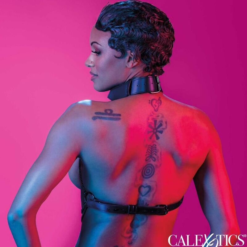 CALEXOTICS - EUPHORIA HARNESS MEHRKETTEN-HALSKETTE