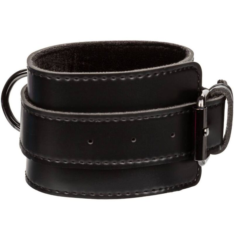 CALEXOTICS - EUPHORIA SCHWEINEKRAWATTE