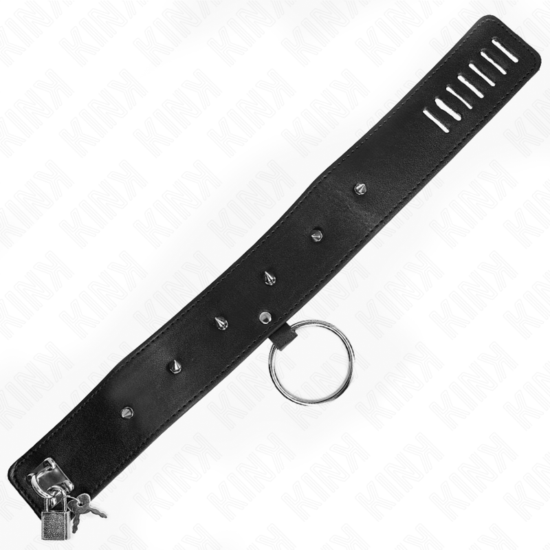 KINK - 65 CM HALSBAND MIT LEINE UND SILBERNEN NIETEN, MODELL 2, VERSTELLBAR 36-43 CM X 5 CM