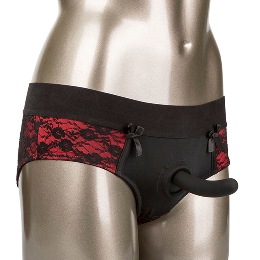 Gode Ceinture Féminin Scandal Culotte Sans Entrejambe 2 Tailles - CalExotics