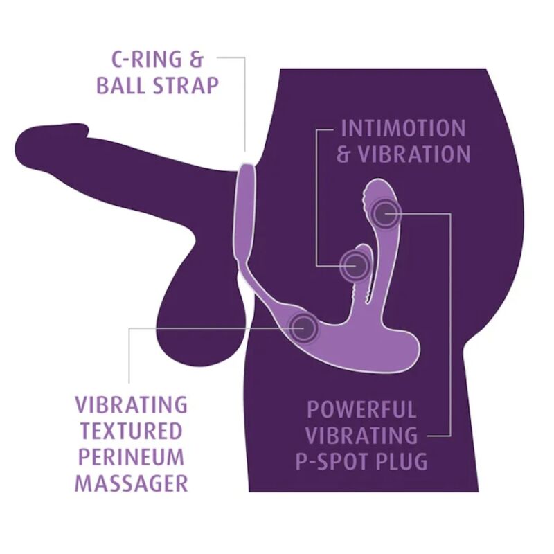 Schéma de pose de l'Ass-Gasm : anneau pour pénis et testicules, plug point P, périnée