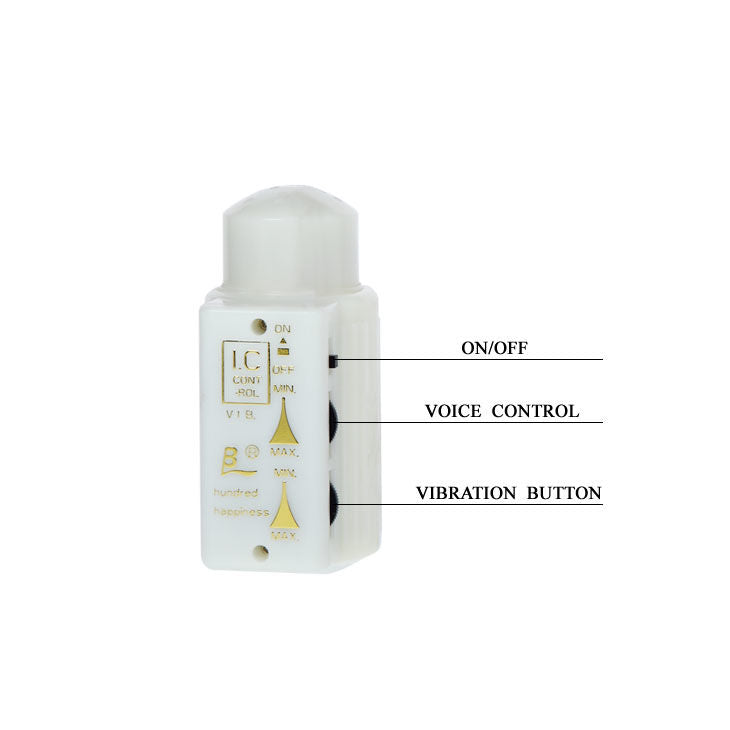 Mr Big Realistischer Penis- und Anus-Masturbator