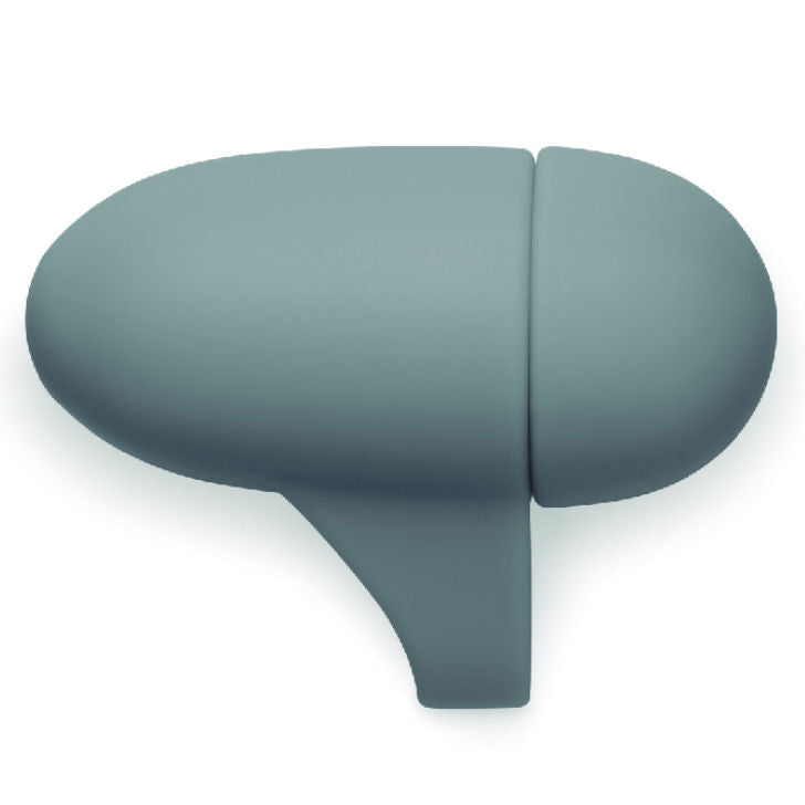 Indiskretes Löwe-Horoskop-Kit