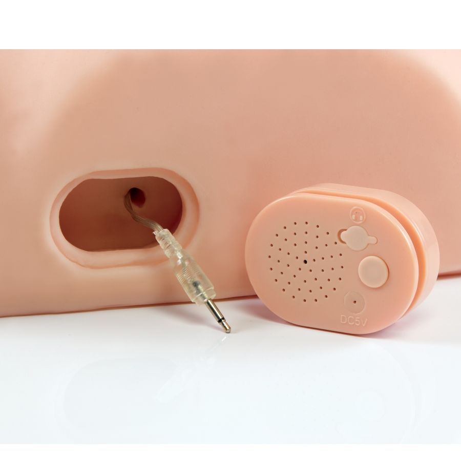 Interaktives „Scheiß drauf, Dummkopf“