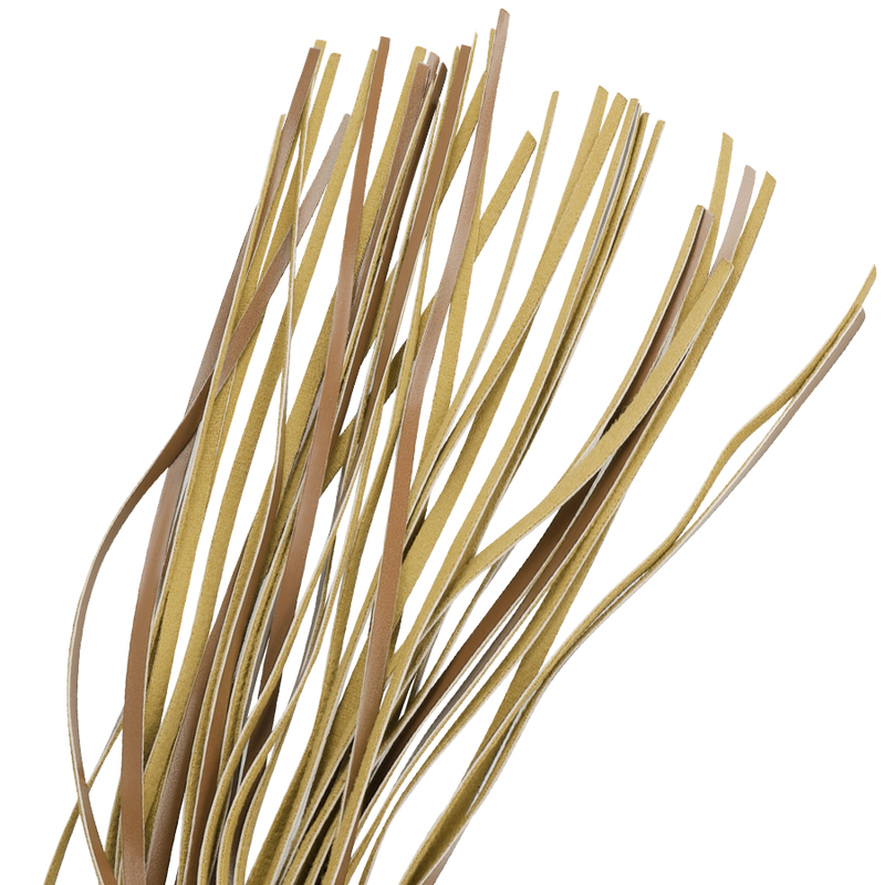 FETISCH-UNTERWÜRFIGKEITS-URSPRUNG - VEGANE LEDERPEITSCHEN